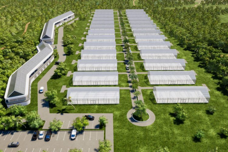 ESTABLISHMENT OF THE GREENHOUSE VILLAGE WILL REVOLUTIONIZE CROP PRODUCTION AND HELP PROPEL ST. KITTS AND NEVIS CLOSER TO CARICOM’S 25 BY 2025 AGENDA