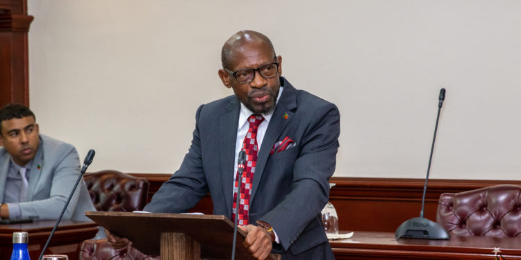 FOREIGN DIRECT INVESTMENT IN ST KITTS AND NEVIS EXPECTED TO RISE IN 2024