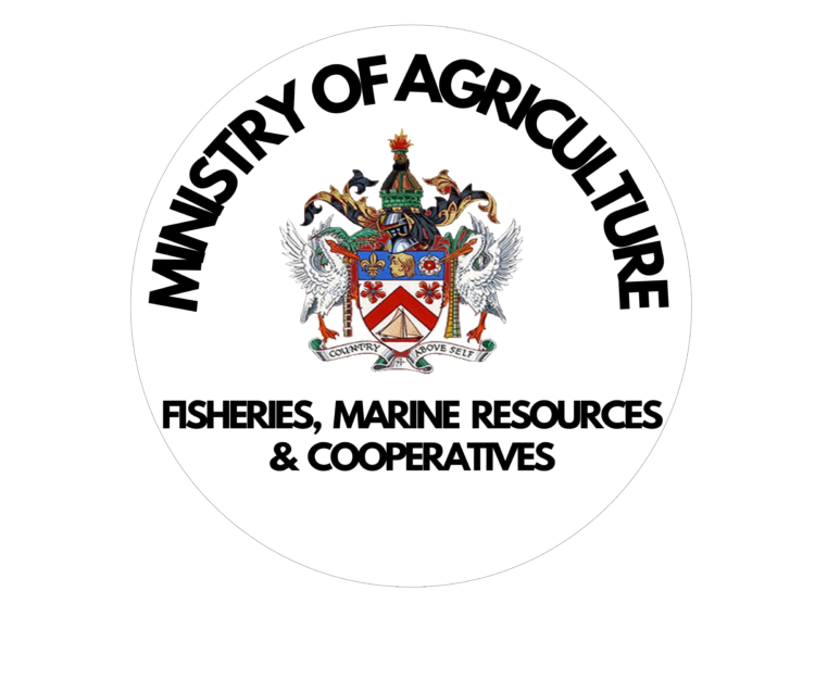 LIST OF COUNTRIES APPROVED FOR IMPORTED MEAT PRODUCTS TO ST.KITTS