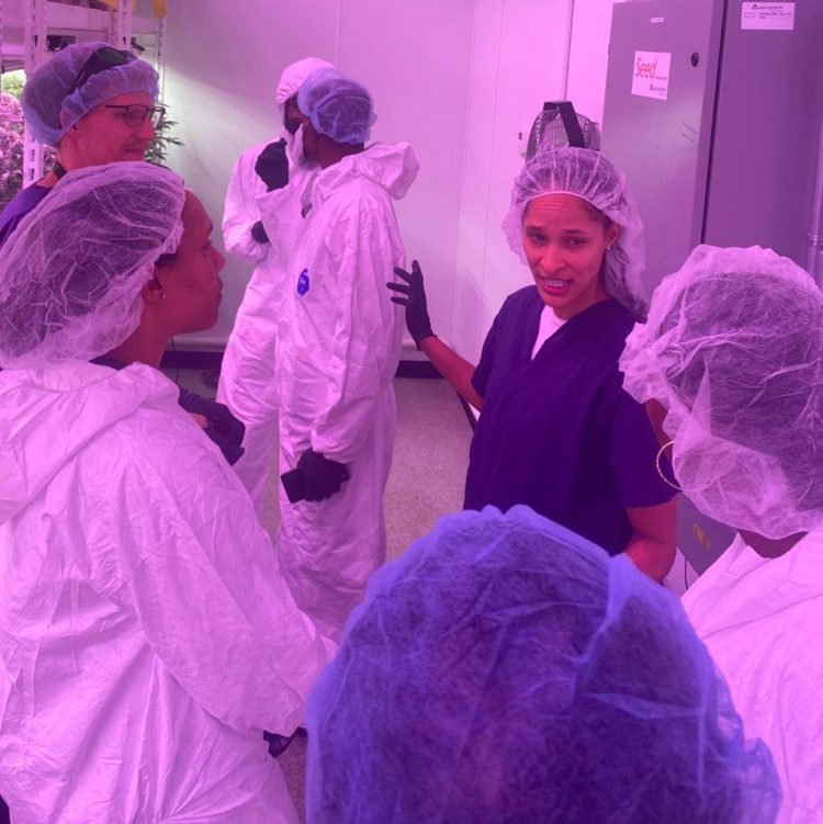 Cannabis Collaboration Blossoms as Delegation from Saint Kitts and Nevis Explores Innovations at Southern Institute for Medical Plants
