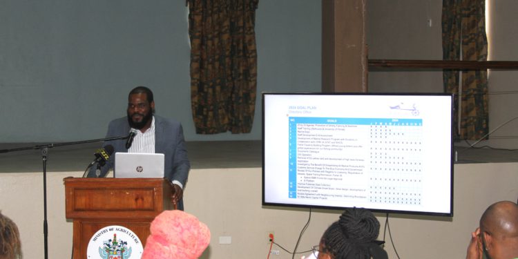 SEAMOSS PRODUCTION EXHIBITION SITES TO BE ESTABLISHED IN ST. KITTS AS PART OF MARINE SECTOR TRANSFORMATION STRATEGY