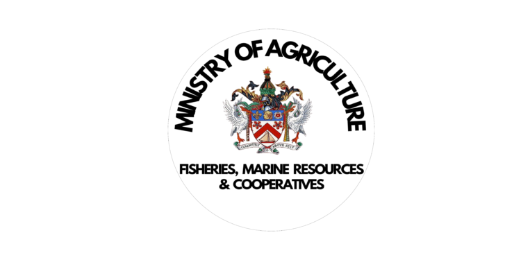 Request for Quotation – Custom Fabric