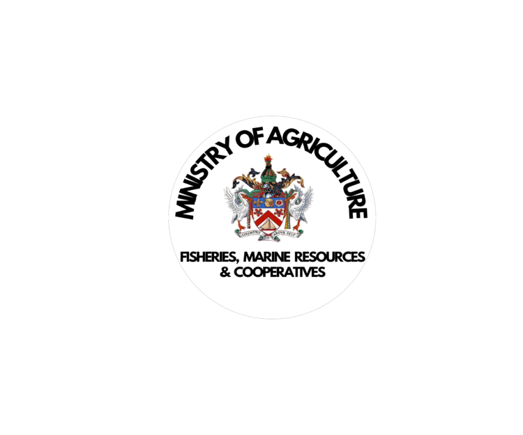 Request for Quotation – Custom Fabric