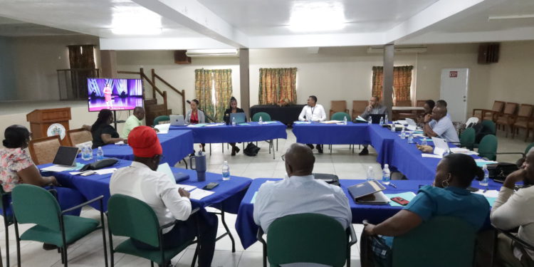 4th Intra-Ministerial Coordination Mechanism Management Team Meeting 