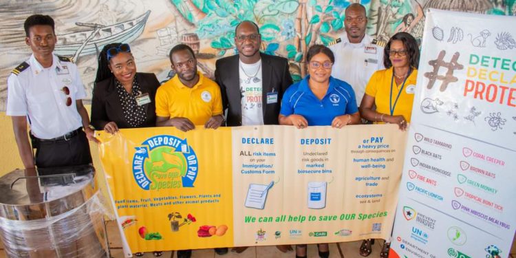 The Battle Against Invasive Alien Species Continues Biosecurity Bins Handed Over to Strengthen Fight Against Invasive Alien Species