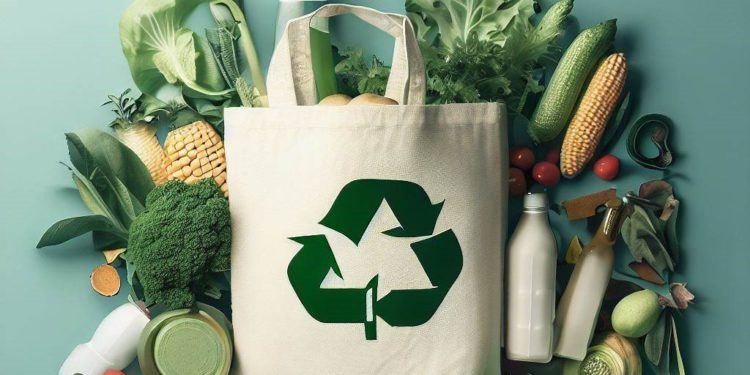 Five Tips on Helping You Go Green in 2024 