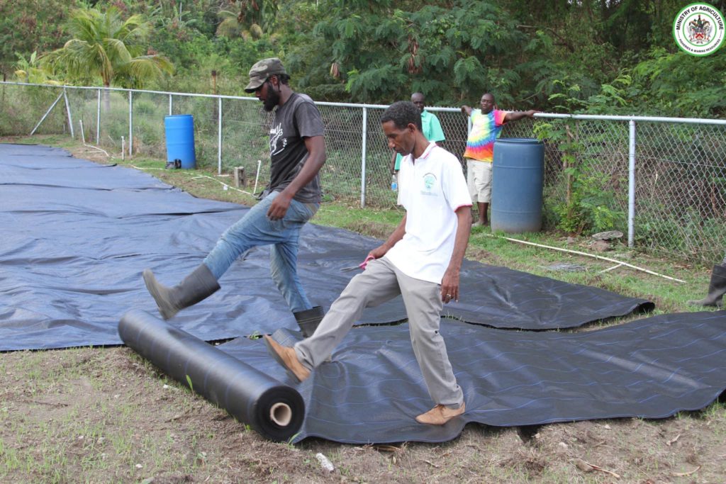 SKN GOVERNMENT FULFILLING COMMITMENT AS FARMERS RECEIVE DROUGHT RESISTANT MATERIALS AS PART OF 25 BY 25 AGENDA ROLLOUT