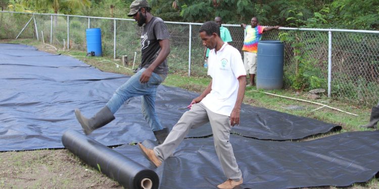 SKN GOVERNMENT FULFILLING COMMITMENT AS FARMERS RECEIVE DROUGHT RESISTANT MATERIALS AS PART OF 25 BY 25 AGENDA ROLLOUT