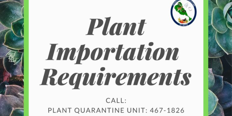 NOTICE OF ST. KITTS AGRICULTURE DEPARTMENT’S PLANT IMPORT AND EXPORT PROCEDURES