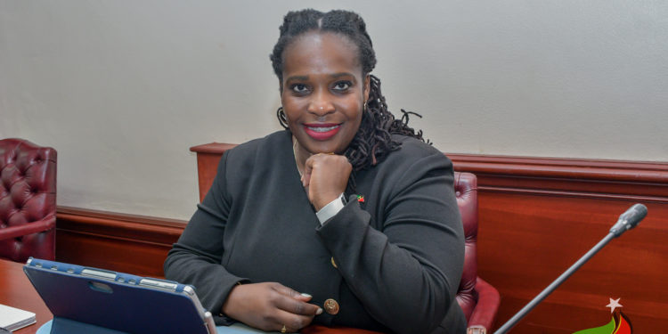 FEDERAL CABINET APPROVES THREE-PHASED BAN ON SINGLE-USE PLASTIC ITEMS IN ST. KITTS AND NEVIS