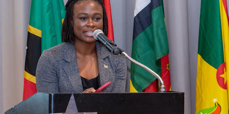 DELEGATES EXPLORING STRATEGIES TO ENHANCE SHOCK-RESPONSIVE SOCIAL PROTECTION SYSTEMS