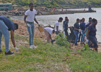 SEA CADET RECRUITS COMPLETE FIRST COMMUNITY SERVICE MISSION