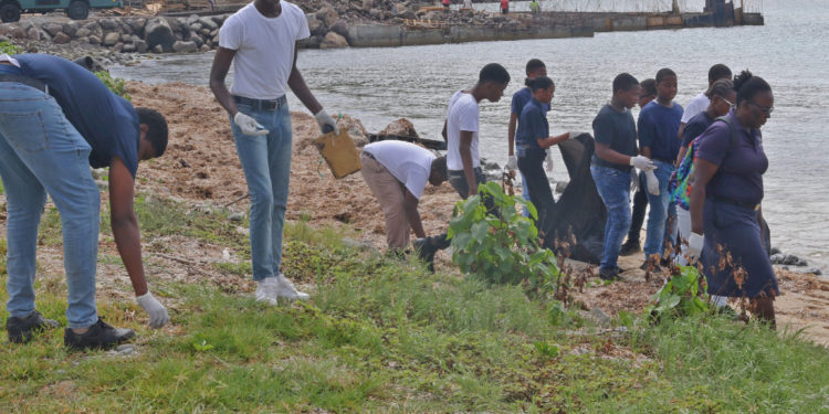 SEA CADET RECRUITS COMPLETE FIRST COMMUNITY SERVICE MISSION