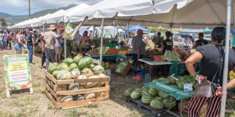 MAJOR AGRICULTURAL ACHIEVEMENTS AND INNOVATIONS HIGHLIGHTED AT 29TH ANNUAL AGRICULTURE OPEN  DAY IN ST. KITTS