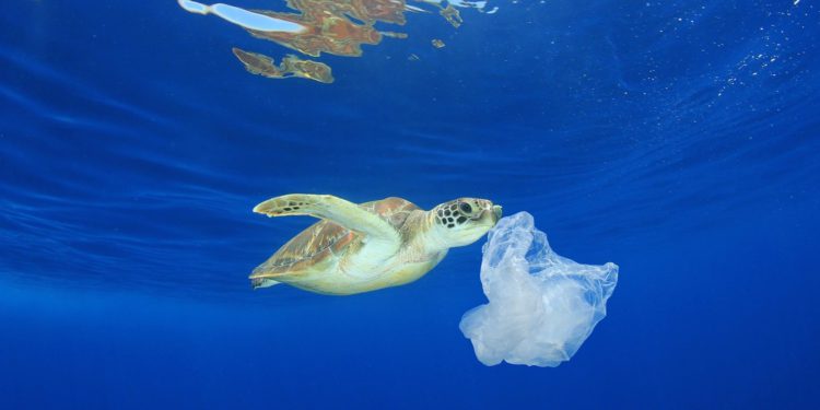 MINISTER OF ENVIRONMENT WARNS ABOUT HEALTH RISKS ASSOCIATED WITH MICROPLASTICS