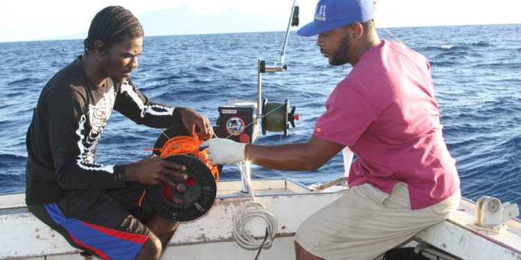 MARINE DEPARTMENT TO PROMOTE UNDERUTILIZED SPECIES AS SURPRISE SEAFOOD OPTION AT UPCOMING AGRICULTURE OPEN DAY
