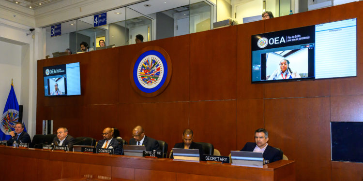 MINISTER OF ENVIRONMENT AND CLIMATE ACTION HONOURABLE DR. JOYELLE CLARKE CALLS FOR URGENT MULTILATERAL ACTION TO ADDRESS THE MULTI-DIMENSIONAL ENVIRONMENTAL CRISIS