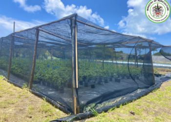 OVER 120 STALLS TO BE EXPLORED AT 29TH EDITION OF AGRICULTURE OPEN DAY THIS WEEK