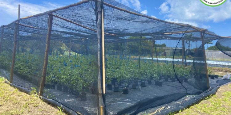 OVER 120 STALLS TO BE EXPLORED AT 29TH EDITION OF AGRICULTURE OPEN DAY THIS WEEK