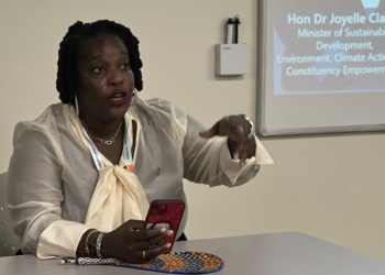 THE HON. DR. JOYELLE CLARKE SHARES KEY INSIGHTS ON NATURE-BASED COASTAL RESILIENCE IN SIDS4 SIDE-EVENT