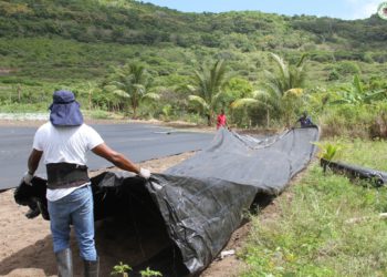 FARMERS EXTEND GRATITUDE TO GOVERNMENT AND MINISTRY OF AGRICULTURE FOR VITAL SUPPORT; FREE MATERIALS DISTRIBUTED AS PART OF 25 BY 25 INITIATIVE