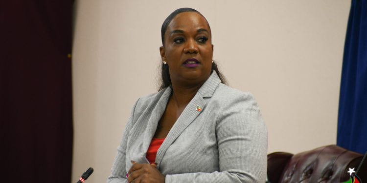 AMENDMENT TO FIREARM BILL ENHANCES ADMINISTRATION OF JUSTICE, SAYS MINISTER HENDERSON