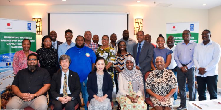 ST. KITTS-NEVIS REPRESENTED AT IMPROVING NATIONAL SARGASSUM MANAGEMENT CAPACITIES IN THE CARIBBEAN WORKSHOP IN BARBADOS