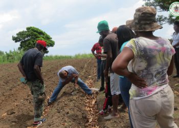 SKN FARMERS GAIN KNOWLEDGE ON INNOVATIVE TECHNOLOGIES FROM FAO AND AMEXICID SOLAR PUMP & IRRIGATION SYSTEMS WORKSHOP