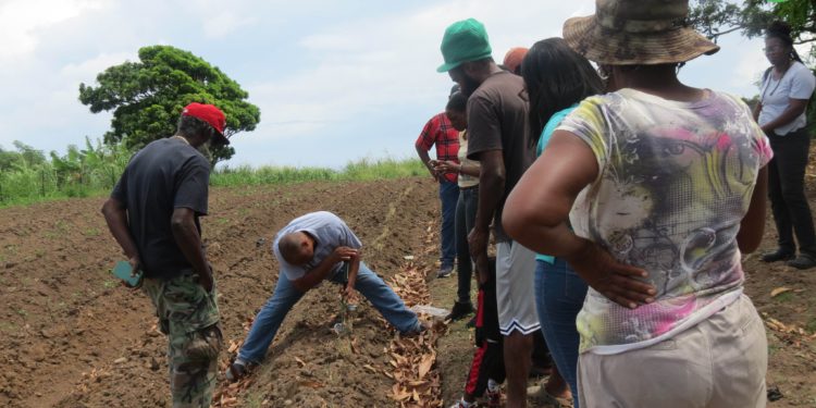 SKN FARMERS GAIN KNOWLEDGE ON INNOVATIVE TECHNOLOGIES FROM FAO AND AMEXICID SOLAR PUMP & IRRIGATION SYSTEMS WORKSHOP
