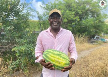 40-YEAR FARMING VETERAN GROWS WATERMELON FOR FIRST TIME NOTING INSPIRATION FROM 25 BY 25 AGENDA