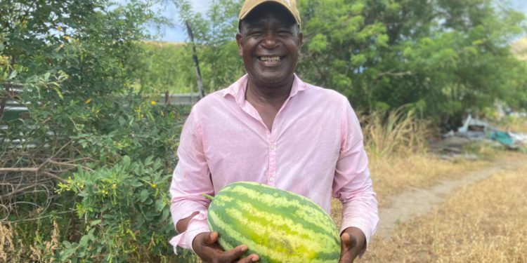 40-YEAR FARMING VETERAN GROWS WATERMELON FOR FIRST TIME NOTING INSPIRATION FROM 25 BY 25 AGENDA