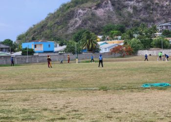 Cricket Returns to Primary Schools