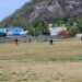 Cricket Returns to Primary Schools