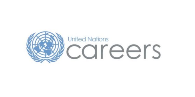 Vacancy: United Nations Office on Drugs and Crime, Vienna