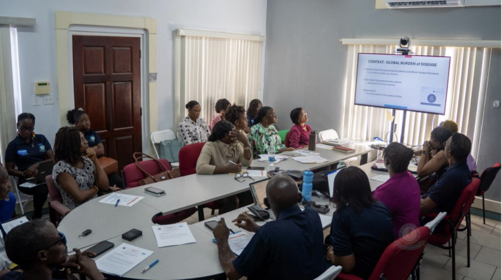 PAHO-Led Healthy Workplace Workshop Commences in St. Kitts