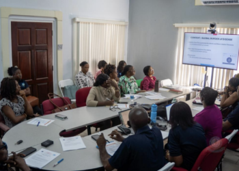 PAHO-Led Healthy Workplace Workshop Commences in St. Kitts