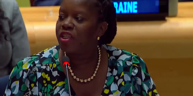 St. Kitts and Nevis lead the charge as CARICOM Caucus Chair for the MultiDimensional Vulnerability Index (MVI) adoption at the United Nations