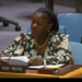St. Kitts and Nevis Adds Voice to Global Call to Action on Conflict and Crime Prevention at the UN Security Council