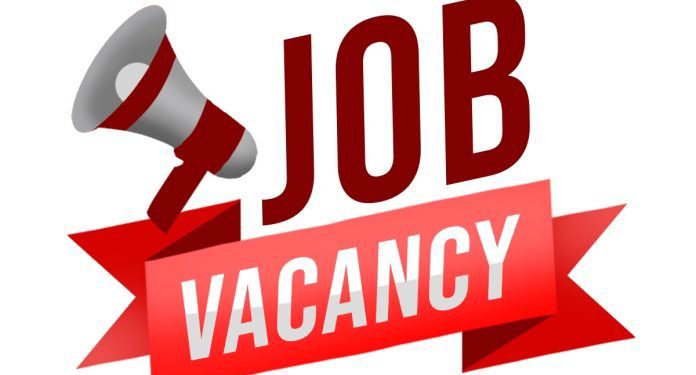 JOB OPPORTUNITY – Policy and Project Liaison Officer