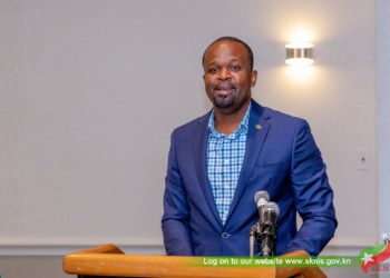 SKELEC IS FORGING PATH TO MAKE ELECTRICITY GRID MORE RESILIENT 