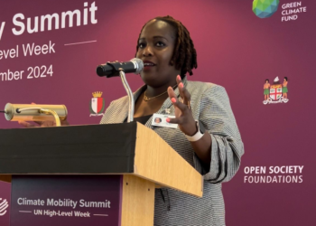 ST. KITTS AND NEVIS CALLS FOR URGENT GLOBAL ACTION ON CLIMATE MOBILITY AT GREATER CARIBBEAN SUMMIT