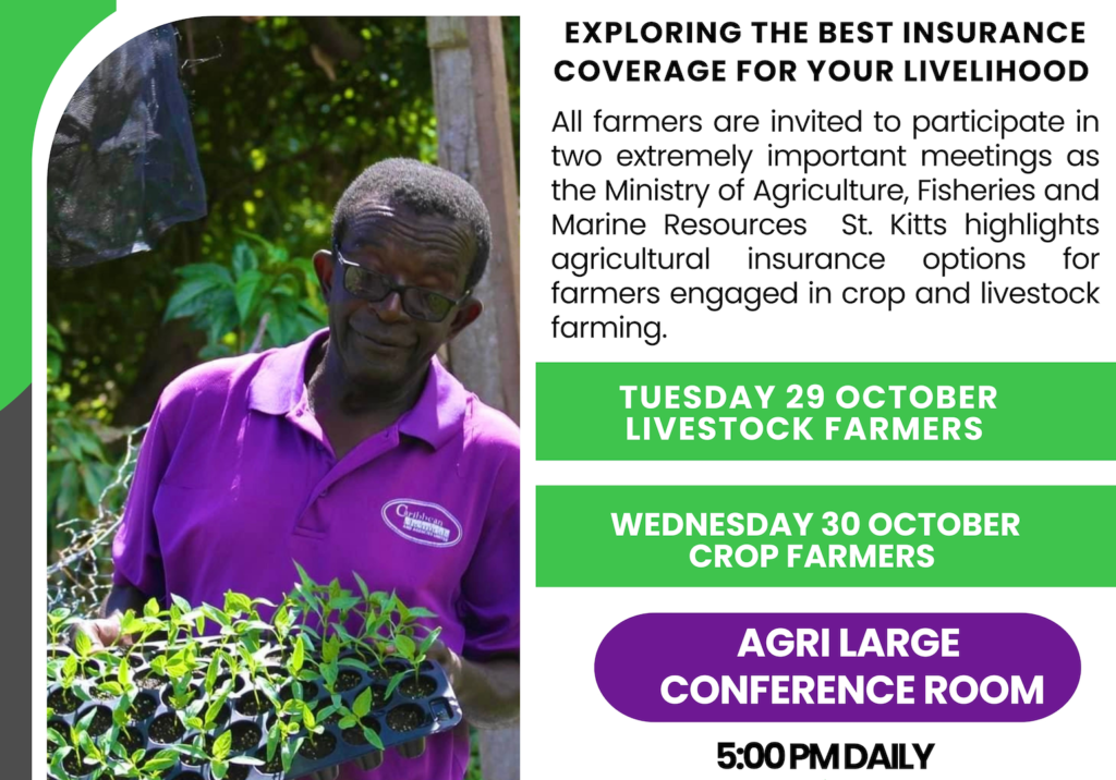 MINISTRY OF AGRICULTURE TO HOST INFORMATIVE CONSULTATIONS ON INSURANCE FOR FARMERS THIS MONTH