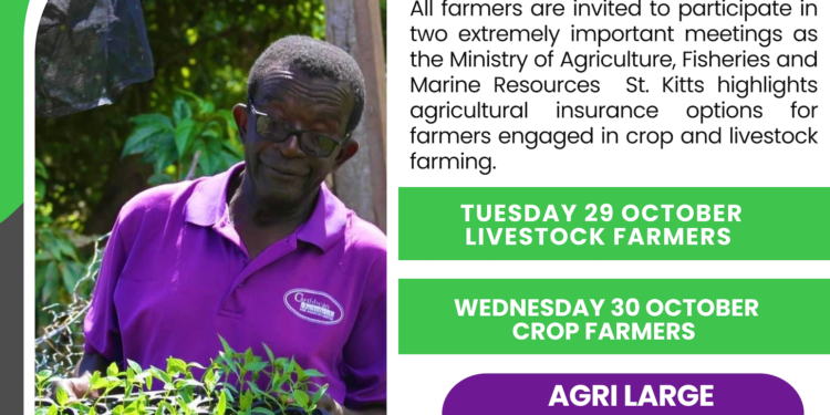 MINISTRY OF AGRICULTURE TO HOST INFORMATIVE CONSULTATIONS ON INSURANCE FOR FARMERS THIS MONTH