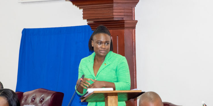 PASSAGE OF AMENDMENT BILL PAVES THE WAY FOR NEW PARKS ACROSS ST. KITTS