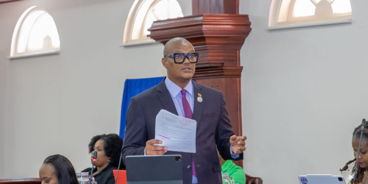 HONOURABLE DR. GEOFFREY HANLEY CHAMPIONS THE COMMUNITY BEAUTIFICATION AND SAFETY BILL, 2024