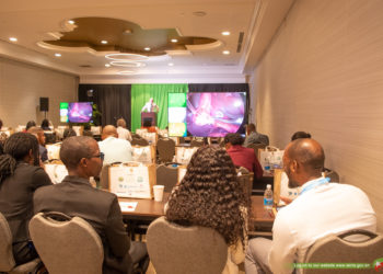 Caribbean Society of Endoscopic Surgeons Conference Brings Advanced Surgical Techniques to St. Kitts and Nevis