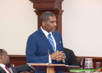 ADVANCE PASSENGER INFORMATION AND PASSENGER NAME RECORD BILL, 2024, PASSED IN THE NATIONAL ASSEMBLY