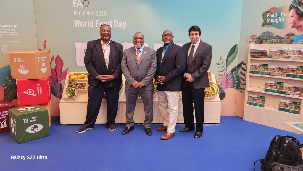 Urgent investment in irrigation for agriculture in the Caribbean takes center stage at the Hand-in-Hand Initiative Invest Forum