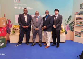 Urgent investment in irrigation for agriculture in the Caribbean takes center stage at the Hand-in-Hand Initiative Invest Forum