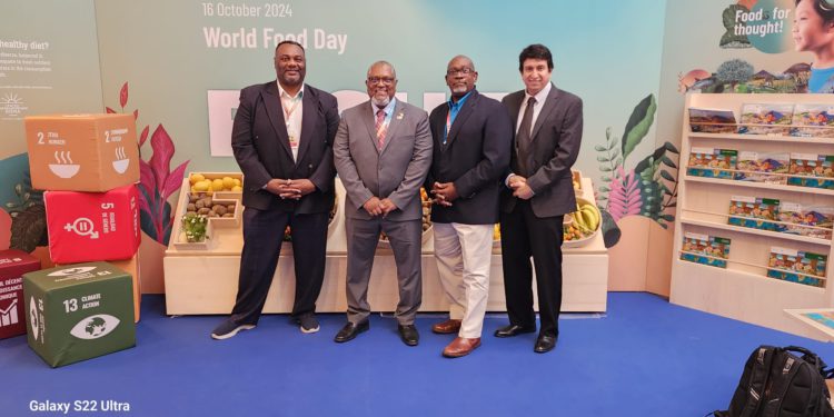 Urgent investment in irrigation for agriculture in the Caribbean takes center stage at the Hand-in-Hand Initiative Invest Forum